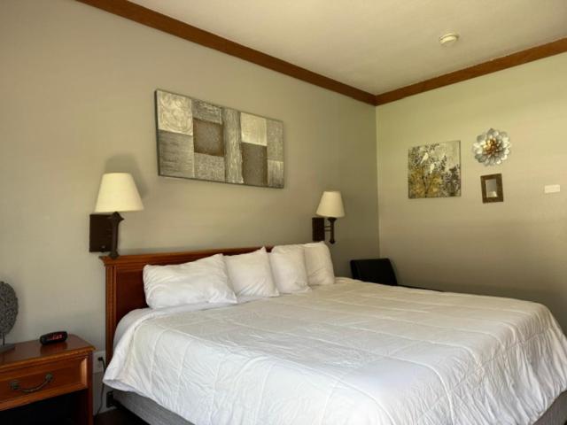 Qualla Cabins And Motel Cherokee Near Casino Whittier 外观 照片