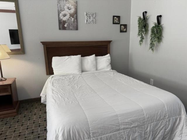 Qualla Cabins And Motel Cherokee Near Casino Whittier 外观 照片